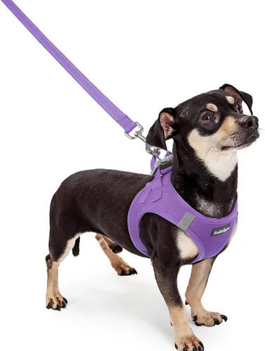 Miniatura 121 de rabbitgoo Juego de arnés para perro de tamaño pequeño y correa, chaleco ligero suave para cachorro, arnés de malla transpirable para mascotas