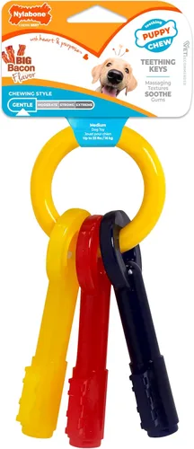 Miniatura 8 de Nylabone Sólo para cachorros pequeños chupete pequeño de hueso, jueguete para masticar para cachorros, M, Rojo, amarillo, azul