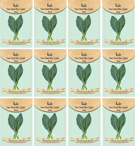 Juego de 12 paquetes de semillas de verduras de roqueta de rúcula, crea un jardín de lujo, todas las semillas son reliquias, 100% sin OMG (árugula,