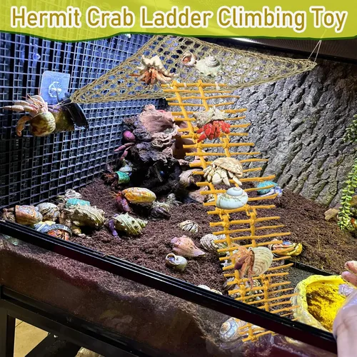 Miniatura 5 de Escalera de cangrejo ermitaño, juguete para escalar, accesorios de tanque de decoración de cangrejo ermitaño, decoración de hábitat de reptiles
