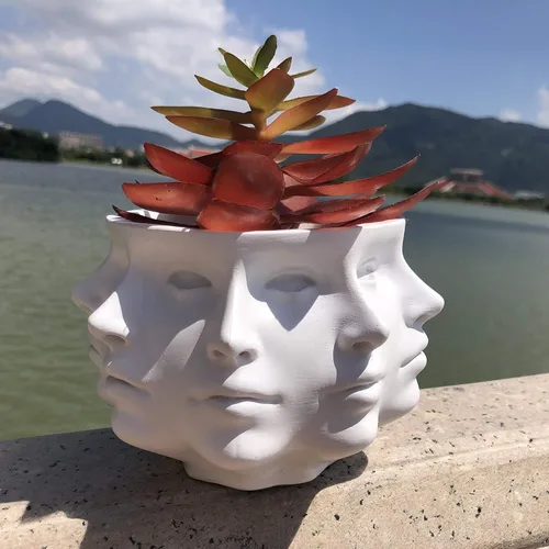 Florero para suculentas multicara, cabeza de planta de cara pequeña, decoración del hogar, maceta de cactus interior