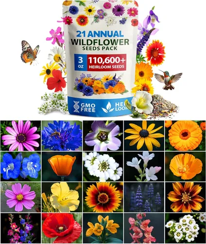 Miniatura 105 de HOME GROWN Semillas de calabaza 5 variedades, mezcla de 40+ reliquia sin OMG, alta germinación, campo de Connecticut, azul, blanco y mini calabazas