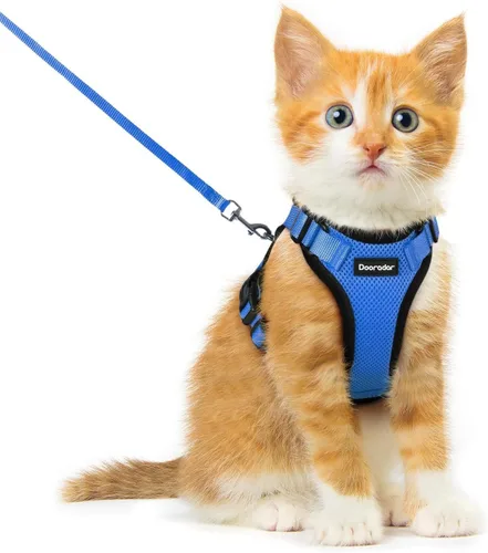Miniatura 36 de Dooradar Juego de arnés y correa para gato, chaleco ajustable seguro a prueba de escapes, para caminar, chaqueta de malla suave y transpirable
