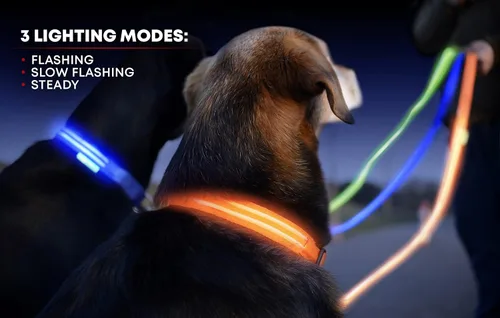 Miniatura 3 de Collar para perros LED Illumiseen, recargable por USB, Anaranjado encendido