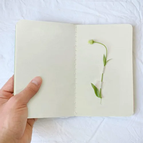 Miniatura 4 de Gwybkq Cuadernos pequeños de bolsillo sin forro, paquete de 12 mini bloc de notas diario, cuaderno de bocetos en blanco para niños, cuadernos lisos