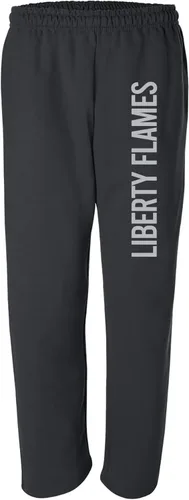 Miniatura 13 de NCAA Super Block, pantalones deportivos de color del equipo, universidad, universidad Iowa Hawkeyes Negro