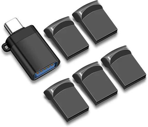 EASTBULL 2GB USB 2.0 Small Flash Drives 5 Pack with A USB-C Adapter, FAT32 Mini USB Drives Small Thumb Drives 2 GB for Data Storage (Grey, 5