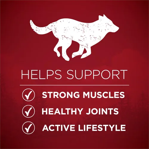 Miniatura 4 de Purina ONE Alimento seco natural para perros con alto contenido de proteínas, True Instinct con carne de res real y salmón con caldo de huesos