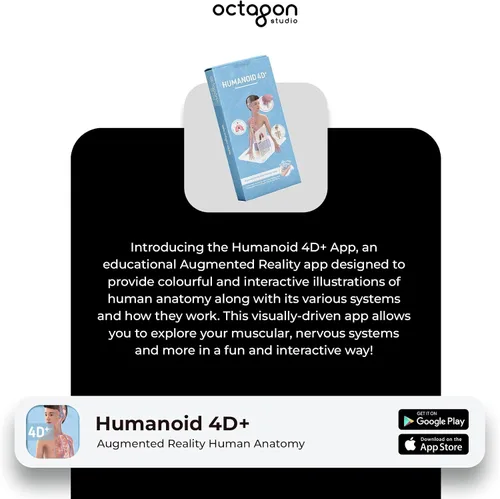 Miniatura 6 de Octagon Studio Tarjetas 4D humanoides para aprendizaje STEM en casa