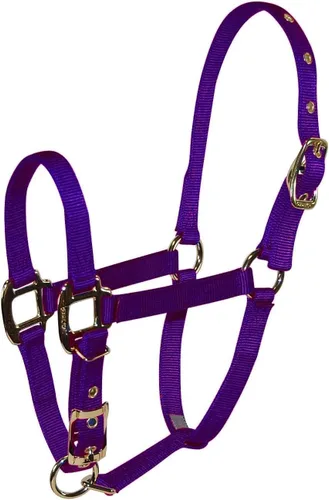 Miniatura 11 de Hamilton Caballo de lujo Halter, nailon de triple capa de 3/4 pulgadas con correa ajustable para la barbilla, potro o mini caballo, 100-200 libras