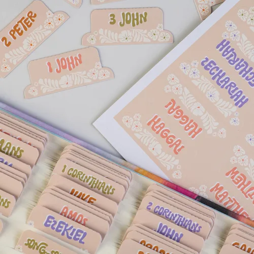 Miniatura 10 de Pestañas para la Biblia laminadas DiverseBee con resúmenes de libros (impresión grande, fácil de leer), pestañas personalizadas para diario bíblico