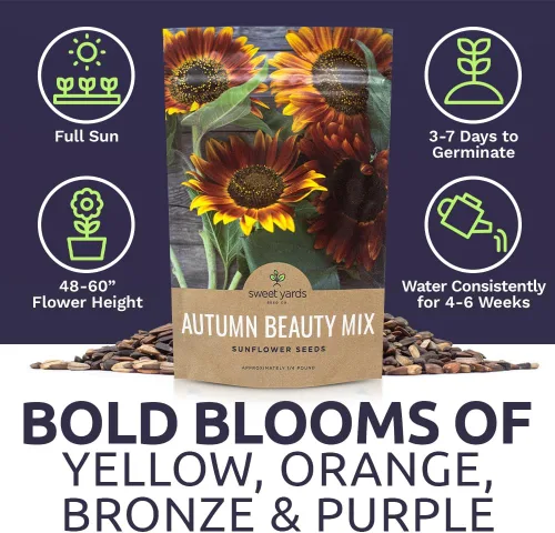 Miniatura 6 de Autumn Beauty Semillas de girasol – Bolsa a granel de 1/4 de libra – Más de 5,000 semillas de flores silvestres polinizadas abiertas sin OMG
