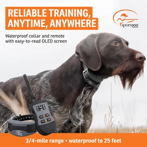 Miniatura 2 de SportDOG Brand SportTrainer 1275 - Entrenador remoto - Pantalla OLED brillante y fácil de leer - Rango de 3/4 millas - Collar de entrenamiento