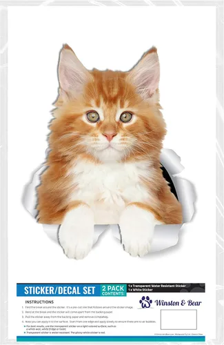 Miniatura 6 de Winston & Bear Calcomanías de pared con diseño de gatito y gatito rojo de Maine Coon - Paquete de 2 calcomanías de inodoro de gato naranja Maine
