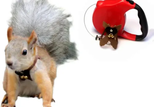 Miniatura 13 de Correa de cuerda de tracción de ardilla, cuerda de cadena antimordeduras, arnés para caminar pequeños animales con correa extensible para hámster