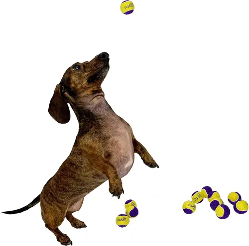 Miniatura 2 de Midlee Squeaky Mini pelota de tenis para perros de 1.5 pulgadas, paquete de 12 (amarillo/morado)