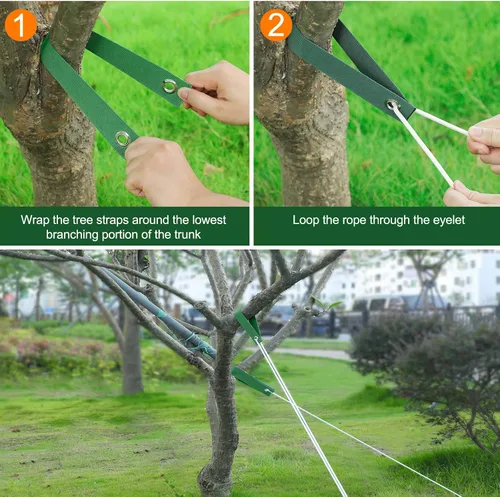 Miniatura 5 de Jevrench 12 PCS Correas para Árboles para Estacado, Correas de Soporte para Árboles para Atirantar Plantones Recién Plantados y Mantenerlos Rectos