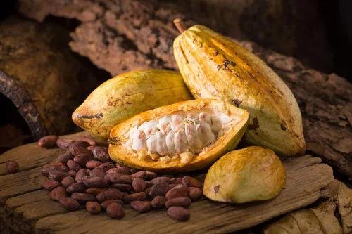 Miniatura 7 de Food to Live Granos de cacao orgánicos, 1 libra, sin OMG, keto, vegano, seco, a granel, rico en fibra dietética, cobre, manganeso, magnesio, zinc