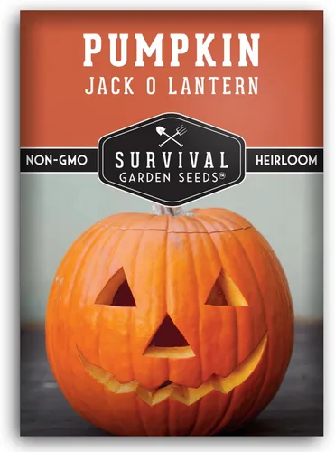 Miniatura 10 de Survival Garden Seeds - Semillas de calabaza Jack-O-Lantern para plantar - 3 paquetes con instrucciones para plantar y cultivar calabazas talladas