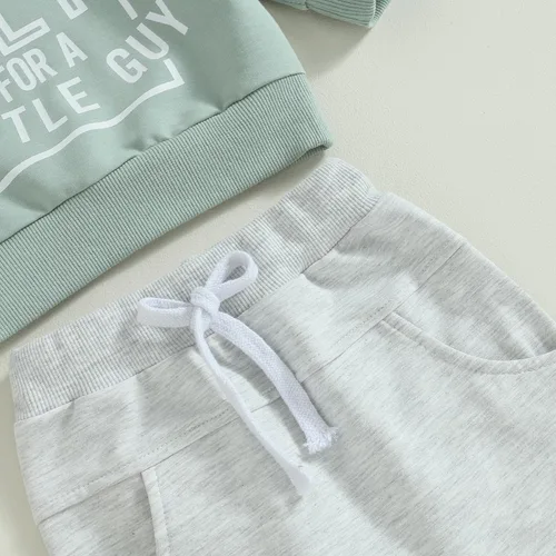 Miniatura 6 de Ropa para niño pequeño, bonita mosca para un chico, sudadera de manga larga, pantalones deportivos, lindo conjunto de 2 piezas, 0-3T