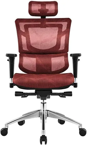 Miniatura 4 de Commercial Ergonomic High Back Executive Mesh Chair, with Adjustable Lumbar Support, Headrest and 3D Armrests Configure Chassis Functions(A)