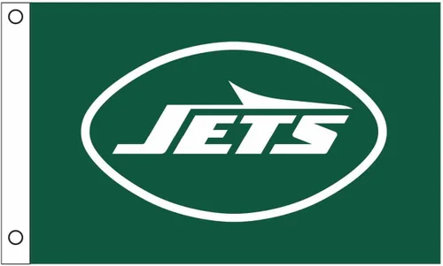 Miniatura 52 de Team Sports America NFL Buffalo Bills - Bandera duradera de 3 x 5 para exteriores con ojales, bandera y pancarta resistentes para jardín al aire