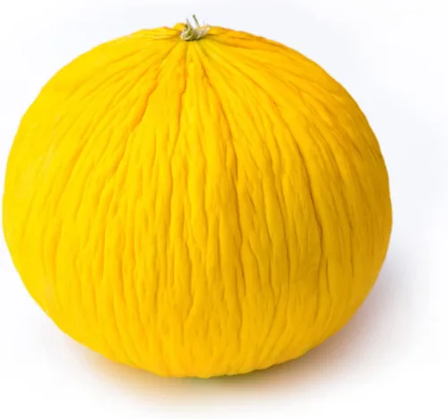Miniatura 7 de Semillas de melón para plantar (10 semillas) - Cultiva tu propio alimento (Melón amargo negro)