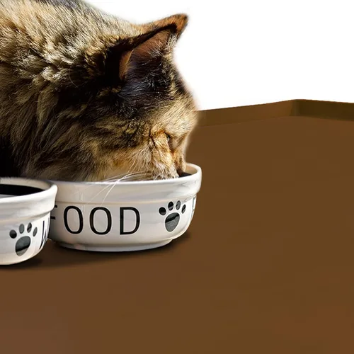 Miniatura 6 de Tapete de comida para perros, bandeja de comida impermeable de silicona, mantel individual antideslizante para mascotas, borde elevado de 1 pulgada