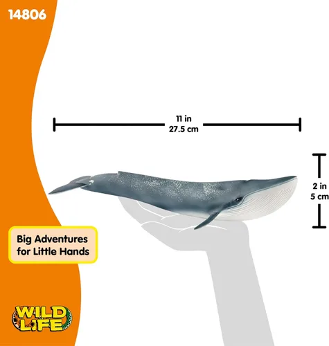 Miniatura 6 de Schleich Wild Life - Figurina realista de ballena azul, juguete de animal acuático auténtico y altamente detallado, duradero para la educación