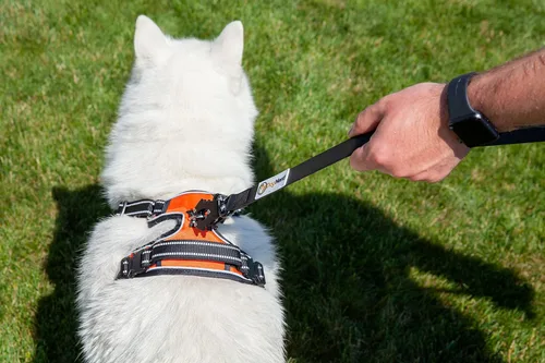 Miniatura 4 de Correa táctica de silicona resistente para perros de 6 pies con mosquetón de liberación rápida, correa de tráfico perfecta para perros grandes que