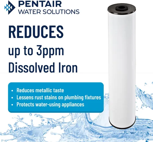 Miniatura 3 de Pentair Pentek RFFE20-BB - Filtro de agua azul grande, 20 pulgadas, cartucho de repuesto de reducción de hierro de flujo radial para toda la casa