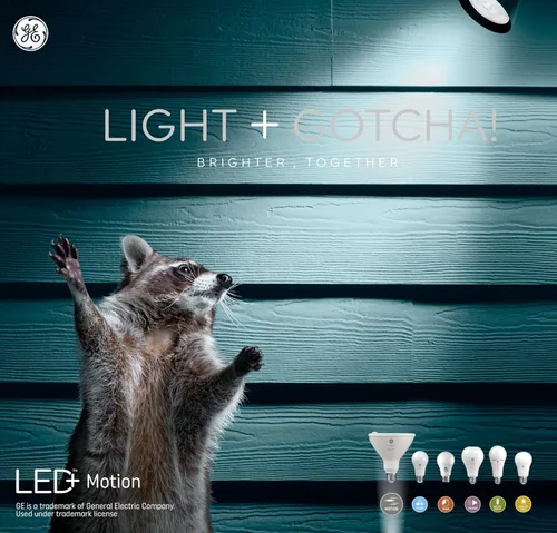 Miniatura 6 de GE Lighting LED+ - Bombilla de seguridad para exteriores con sensor de movimiento, blanco cálido, ajuste del atardecer al amanecer, base media