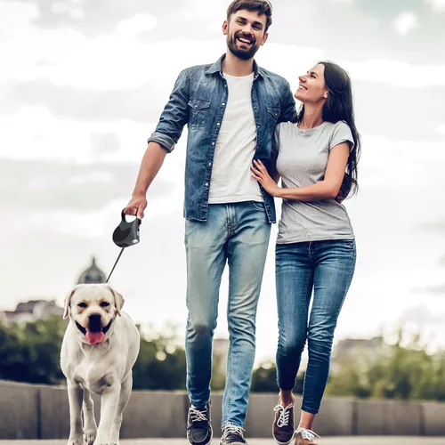 Miniatura 5 de Correa retráctil para perro con linterna, correa de paseo para perros de hasta 77 libras, correa de nailon sin enredos de 360°, mango Gris