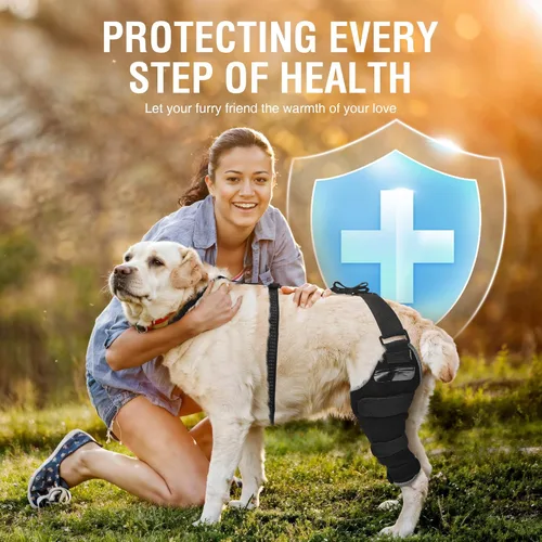 Miniatura 7 de Perro ACL Brace pata trasera – Soporte de pierna trasera ajustable transpirable con gel de compresión caliente/frío para artritis, hinchazón