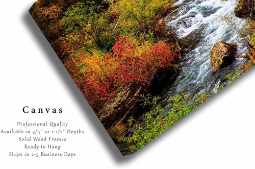 Miniatura 2 de Black Hills Canvas Wall Art (Ready to Hang) Gallery Wrap of Fall Foliage Surrounding Creek on Autumn Day in Spearfish Canyon South Dakota Western