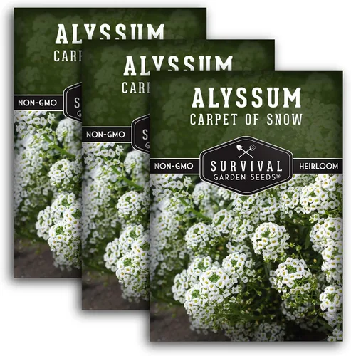 Miniatura 10 de White Alyssum Seeds for Planting - Semillas de jardín de supervivencia (paquete de 1) Variedad Sweet Carpet of Snow - Flores perennes fragantes