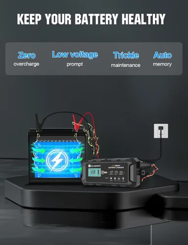 Miniatura 4 de ECO-WORTHY Cargador de batería LiFePO4 10A de 12 V, cargador y mantenedor de batería de litio inteligente, cargador de goteo y desulfatador