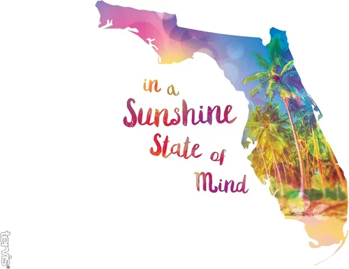 Miniatura 2 de Tervis Florida Sunshine - Vaso de plástico aislado de doble pared hecho en Estados Unidos mantiene las bebidas frías y calientes, 16 onzas, tapa azul