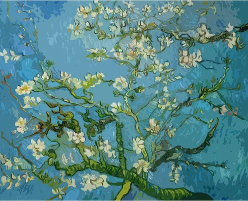 Serie de Obras Maestras de Vincent Van Gogh Pintura por Números para Adultos de Tucocoo, Kits de Pintura por Números para Adultos DIY para