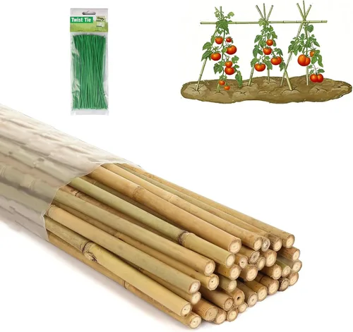 Estacas de bambú de 4 pies con 100 bridas giratorias, estacas de jardín de bambú natural para tomates, pepino, uvas, judías, árboles, flores de