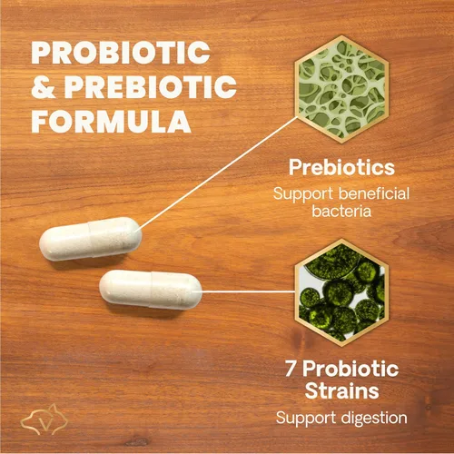 Miniatura 4 de VetriScience Suplementos digestivos probióticos y prebióticos extra fuertes para la salud intestinal para perros y gatos, gases, diarrea y apoyo
