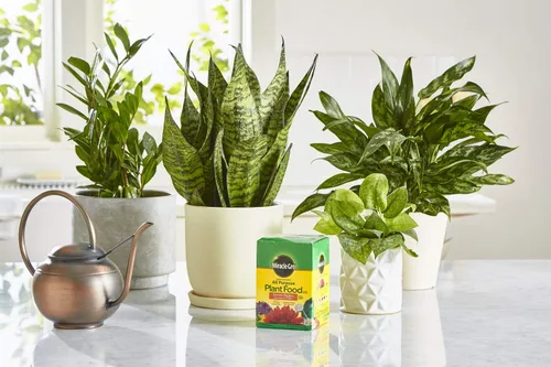 Miniatura 4 de Miracle-Gro Alimento soluble en agua para plantas multiusos - Fertilizante para todas las plantas de interior o exterior, incluyendo rosas, flores