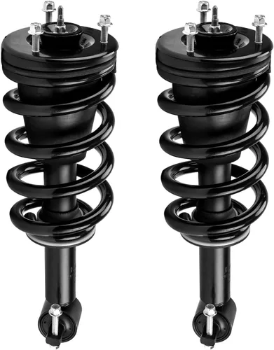 Miniatura 23 de Puntales de amortiguador de repuesto, conjunto completo delantero en pareja, compatible con Nissan Altima 2013-2018 172901/172902 Negro