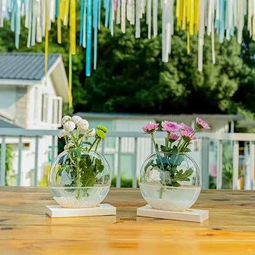 Miniatura 3 de Kingbuy Maceta redonda de vidrio con soporte de madera, florero de propagación para plantas hidropónicas, plantas de araña, potos en decoración