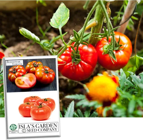 Semillas de tomate Beefsteak (Solanum lycopersicum) – Más de 300 semillas sin OMG y reliquias, tomates grandes y jugosos para rebanar, perfectas