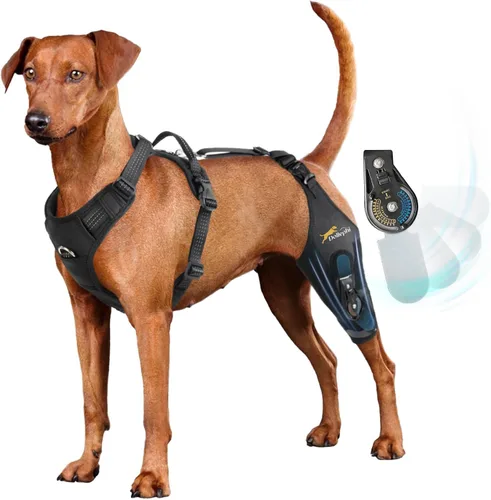 Miniatura 10 de Rodillera para perro para pierna trasera desgarrada ACL con estabilizador de bisagra ajustable, soporte de espalda de perro para osteoartritis