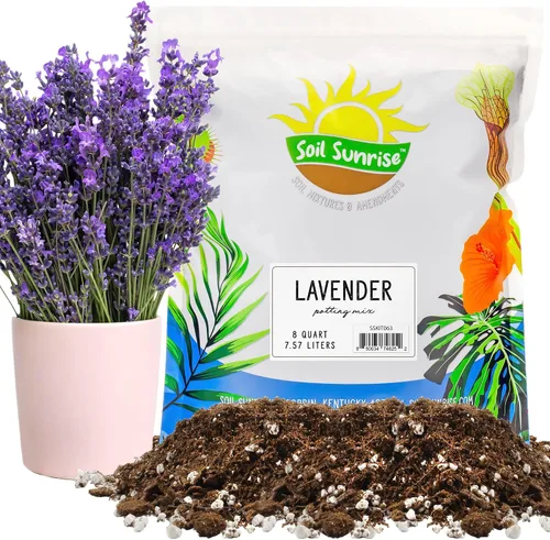 Soil Sunrise Mezcla de tierra para macetas de lavanda (8 cuartos de galón) para interiores y exteriores, mezcla de jardinería para plantas de