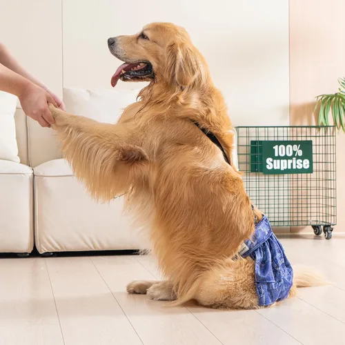 Miniatura 6 de Paquete de 3 Avont Pañales Lavables para Perras con Tirantes, Pañales Reutilizables para Perritas en Período de Celo e Incontinencia para Perros