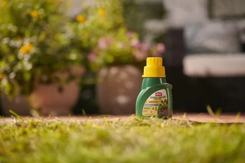 Miniatura 7 de Ortho MAX Garden Concentrado de control de enfermedades para insectos, 16 oz.