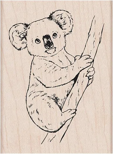 Miniatura 8 de Hero Arts E6370 Sellos de madera, celebra los osos de la tierra